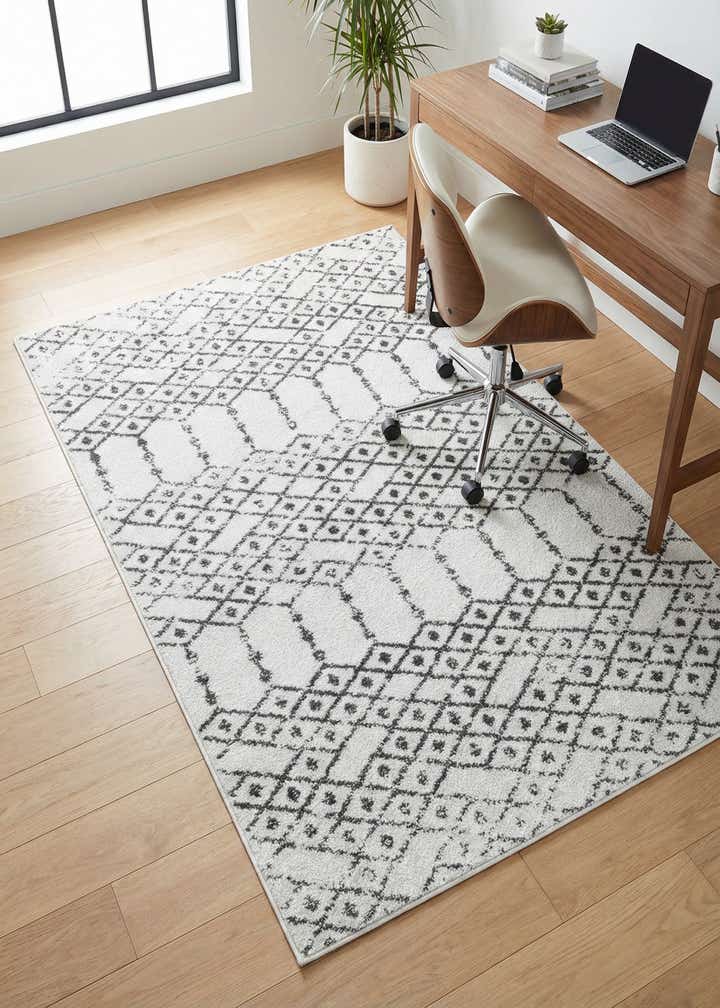 4' x 6' Paxon Trellis Rug