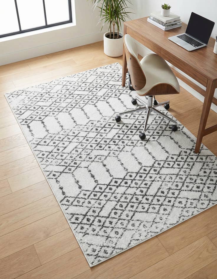 Detail image of 4' x 6' Paxon Trellis Rug