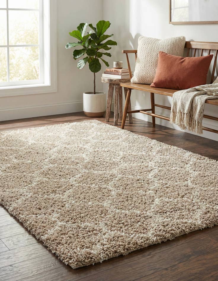 Detail image of 4' x 6' Trellis Shag Rug