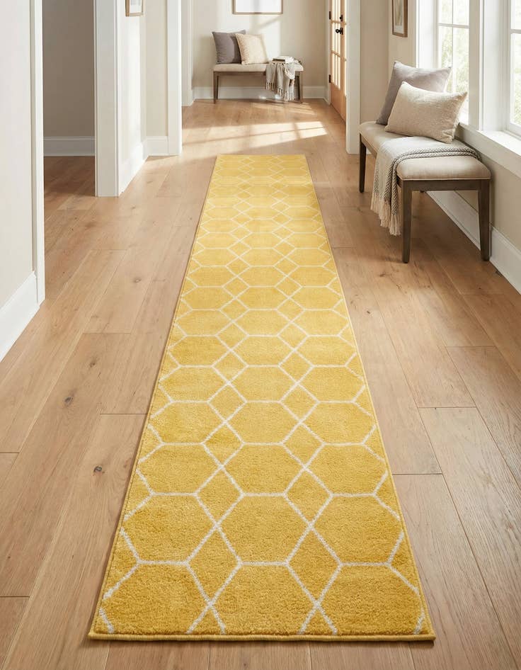 Detail image of 2' x 13' Trellis Frieze Runner Rug