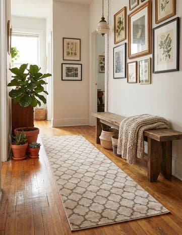 2' 7 x 8' Lattice Runner Rug