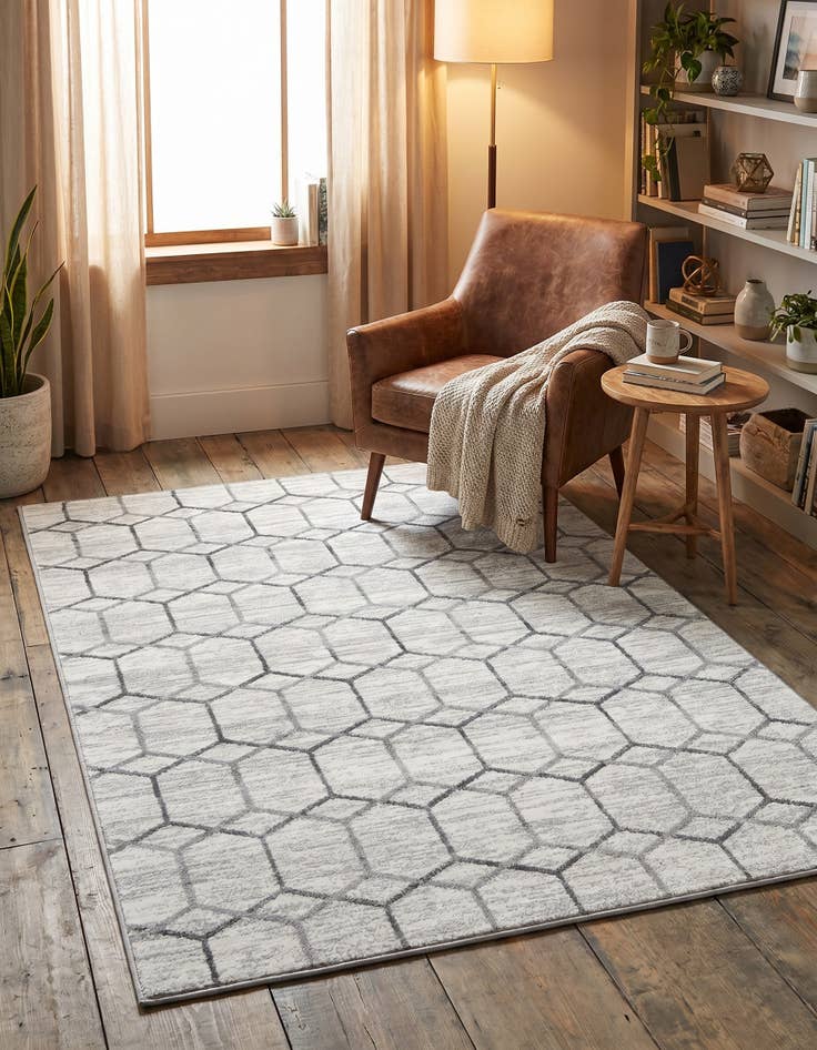 Detail image of 4' x 6' Lattice Trellis Rug