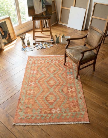 2' 9 x 4' Hand Woven Kilim Waziri Wool Rug