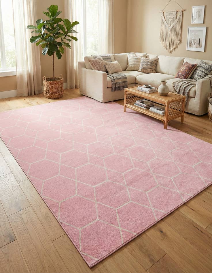 Detail image of 10' x 14' Trellis Frieze Rug