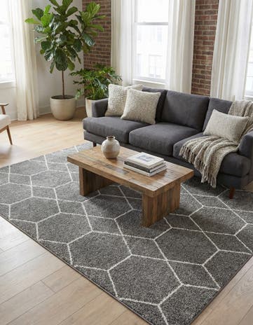 7' 10 x 10' Lattice Frieze Rug