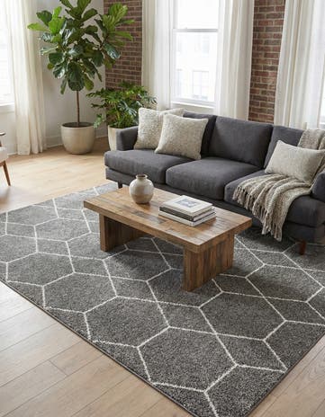 7' 10 x 10' Lattice Frieze Rug