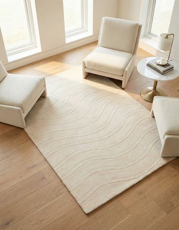 4' x 5' 11 Darya Rug