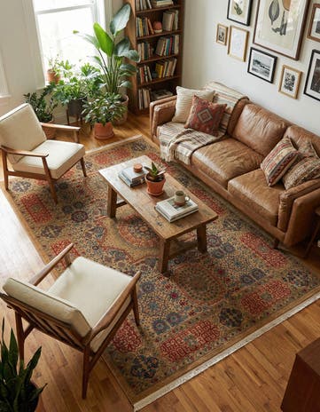 6' x 9' Amina Rug