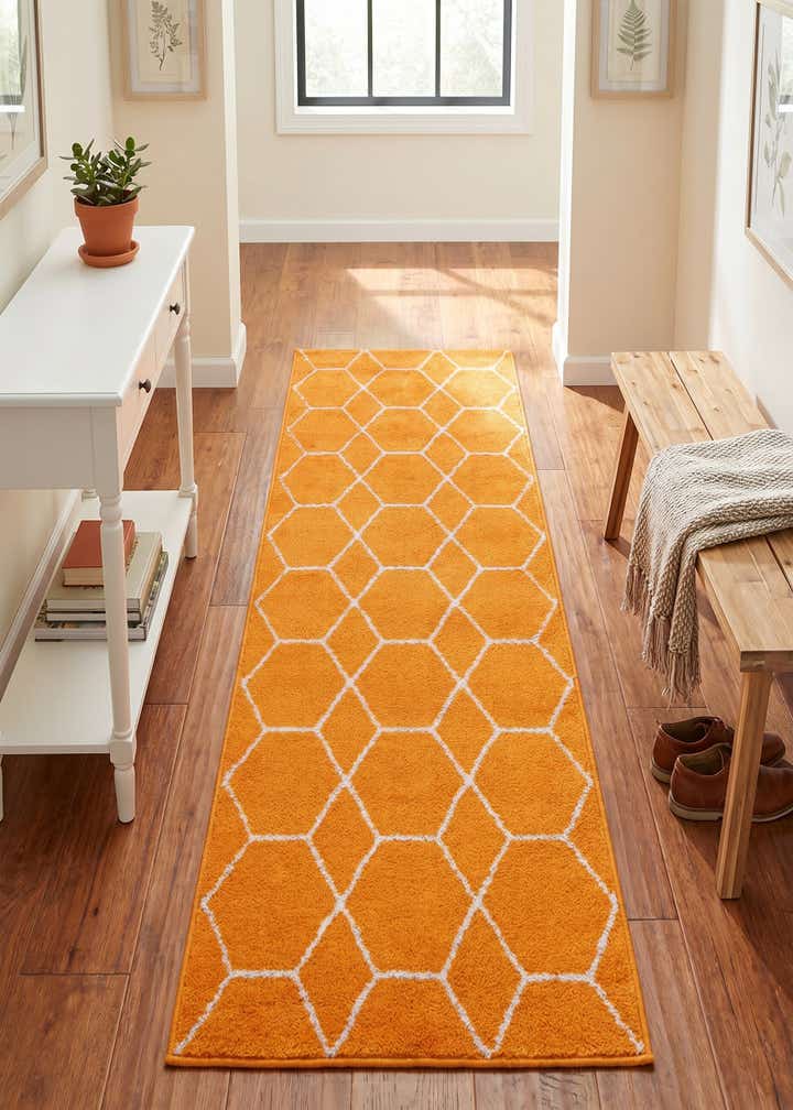 2' x 6' Lattice Frieze Runner Rug