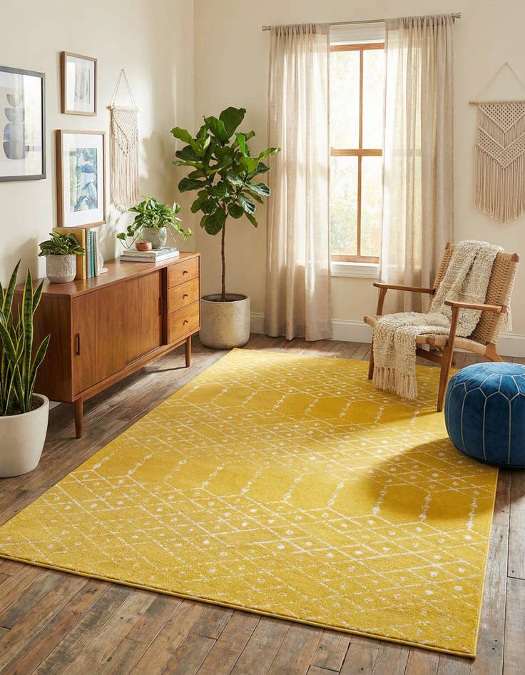 Detail image of 7' x 10' Paxon Trellis Rug
