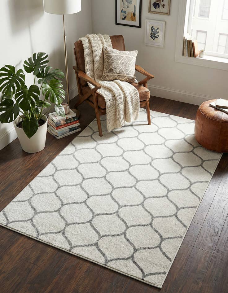 Detail image of 4' x 6' Trellis Frieze Rug