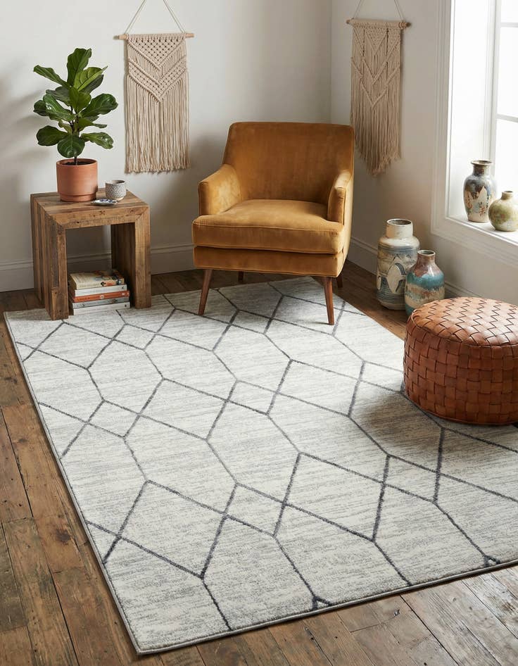 Detail image of 4' x 6' Lattice Trellis Rug