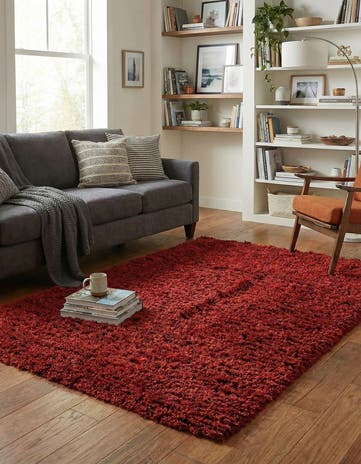 4' x 6' Infinity Shag Rug