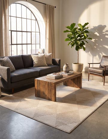 5' x 8' Contour Rug
