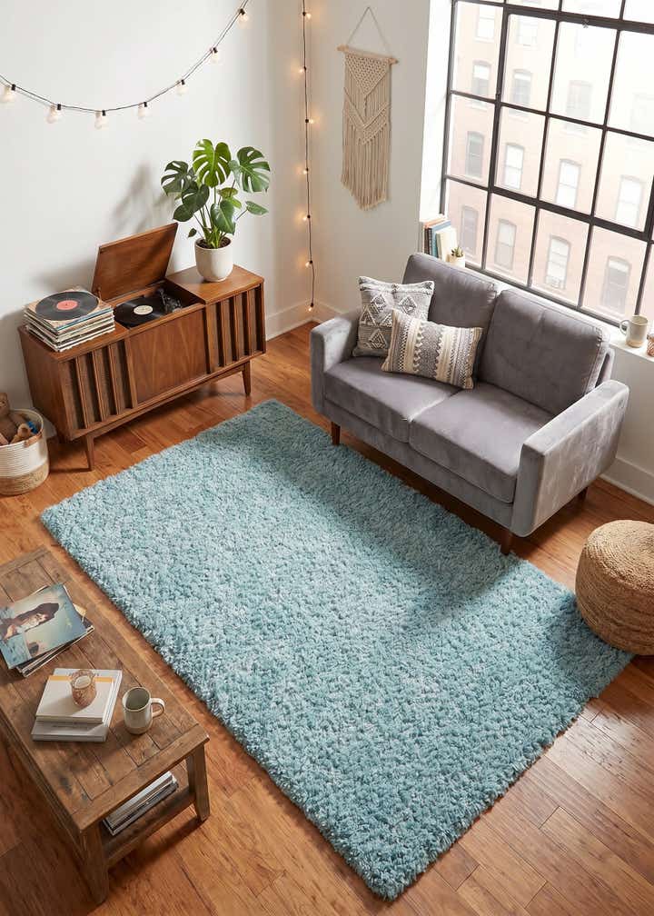 4' x 6' Zermatt Shag Rug