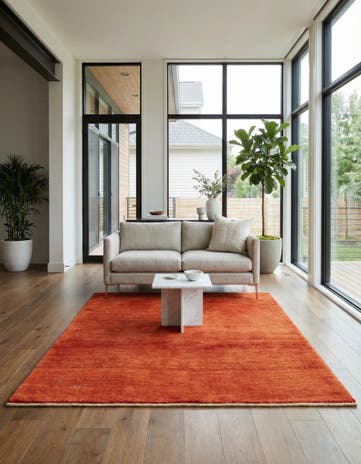 4' 11 x 6' 6 Hand Knotted Gabbeh Shouli Persian Wool Rug