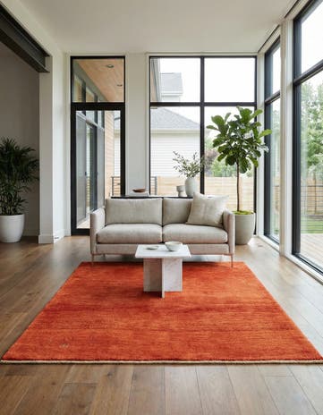4' 11 x 6' 6 Hand Knotted Gabbeh Shouli Persian Wool Rug