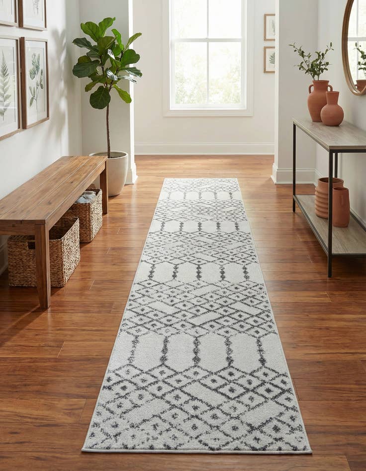 Detail image of 2' x 9' 10 Paxon Trellis Runner Rug