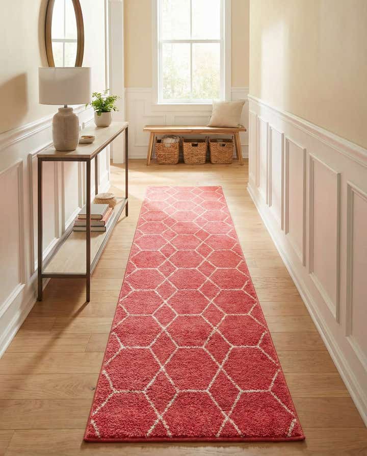 2' x 13' Trellis Frieze Runner Rug