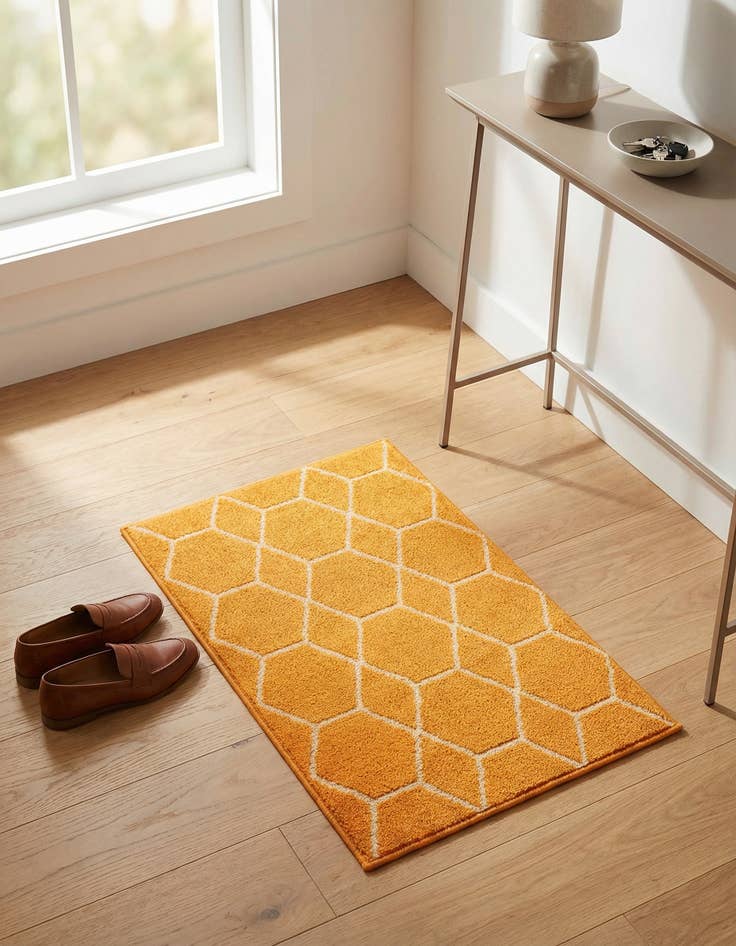 Detail image of 2' x 3' Trellis Frieze Rug