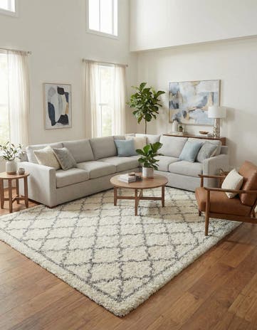 9' x 12' Infinity Shag Rug