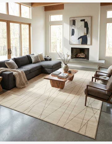 10' x 14' Contour Rug