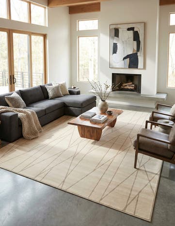 10' x 14' Contour Rug