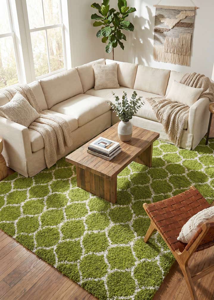10' x 13' Trellis Shag Rug