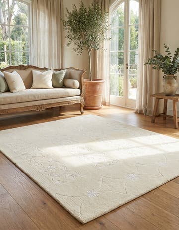 4' x 6' Darya Rug