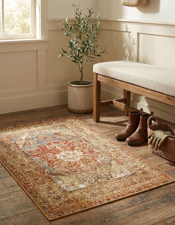 2' x 3' Easy-Clean Traditional Indoor / Outdoor Rug