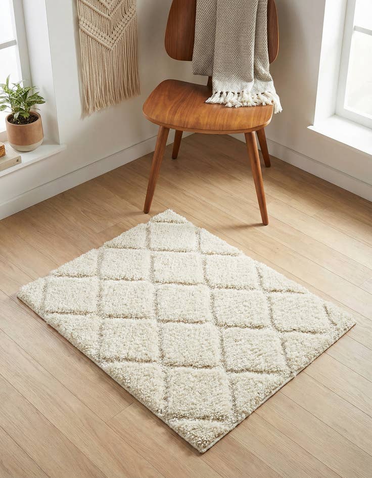 Detail image of 2' x 3' Trellis Shag Rug