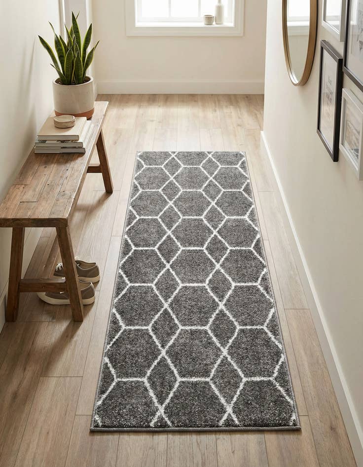 Detail image of 2' x 5' 3 Lattice Frieze Runner Rug