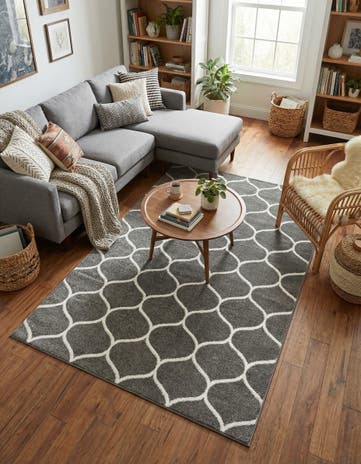 5' 3 x 8' Lattice Frieze Rug