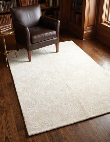 4' 2 x 6' 1 Darya Rug