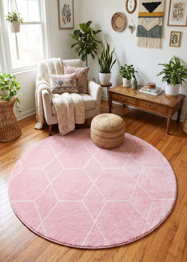 5' 3 x 5' 3 Lattice Frieze Round Rug