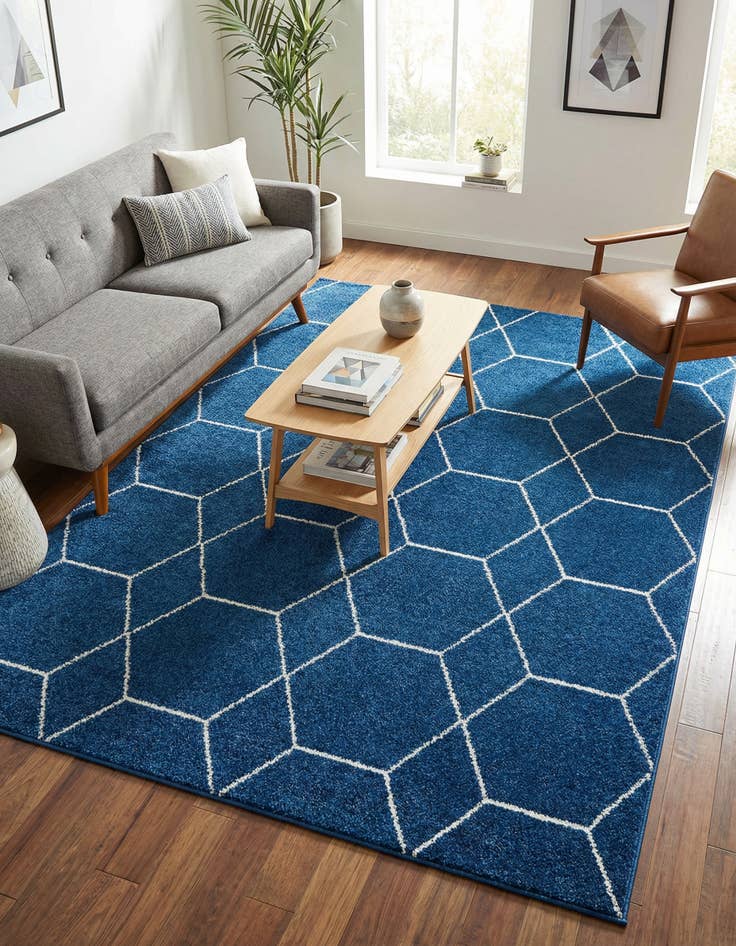 Detail image of 7' 10 x 11' Trellis Frieze Rug