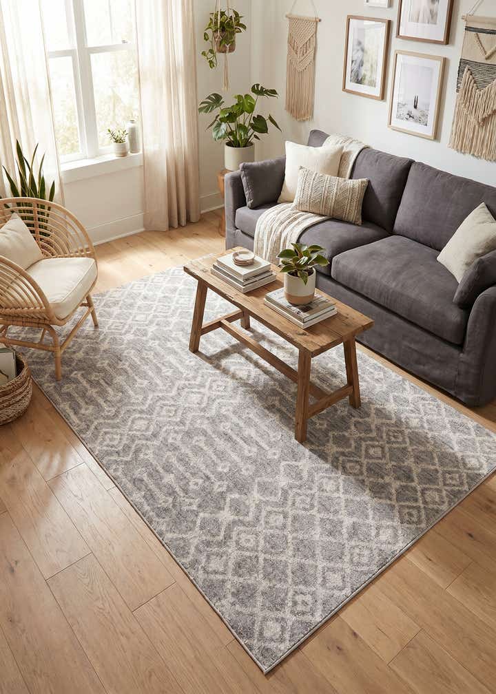 4' x 6' Eco Trellis Rug