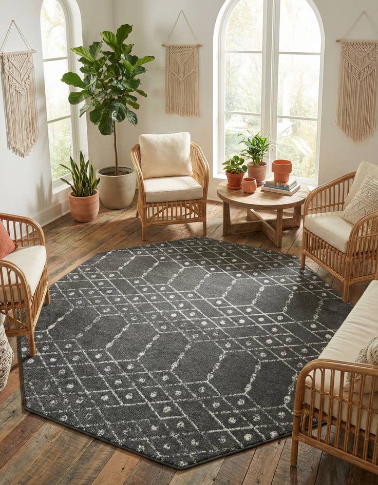 Detail image of 7' 10 x 7' 10 Paxon Trellis Octagon Rug