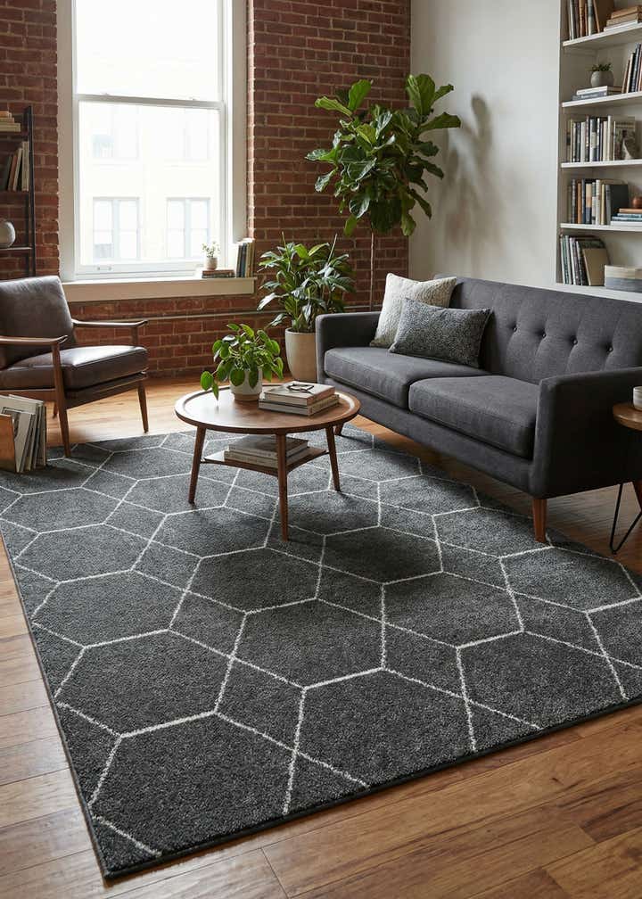 9' x 12' Trellis Frieze Rug