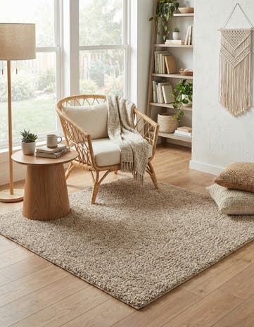 5' 3 x 5' 3 Zermatt Shag Square Rug