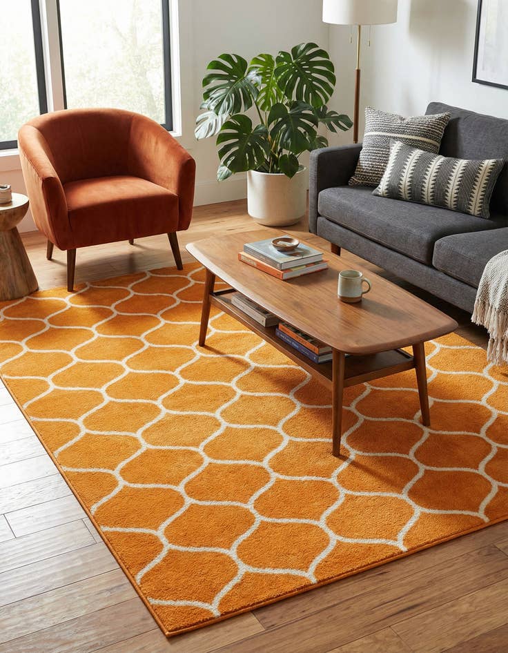 Detail image of  7' 10 x 11' Lattice Frieze Rug