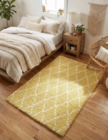 4' x 6' Moroccan Shag Rug