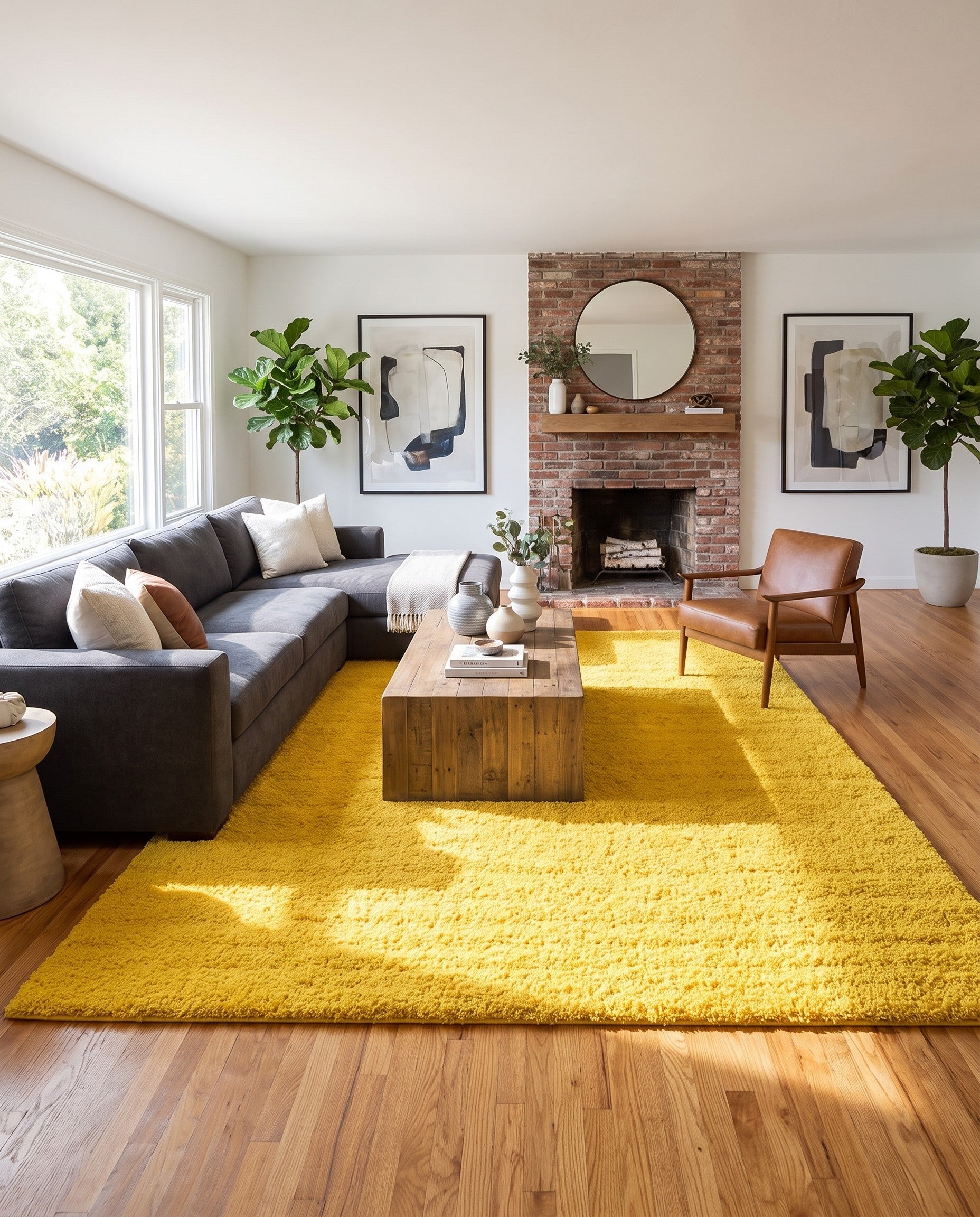 10' x 13' Solid Shag Rug