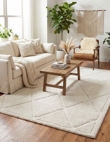 8' x 10' Lattice Shag Rug
