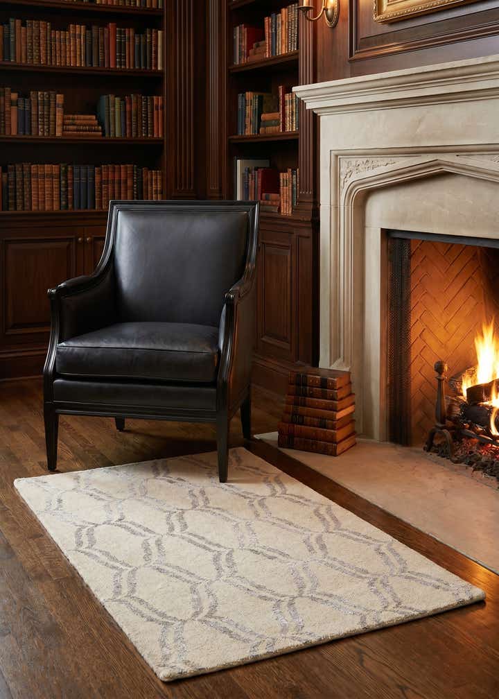 3' 9 x 6' Hand Knotted Darya Rug