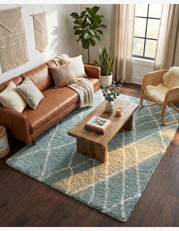 5' 3 x 8' Soft Touch Shag Rug