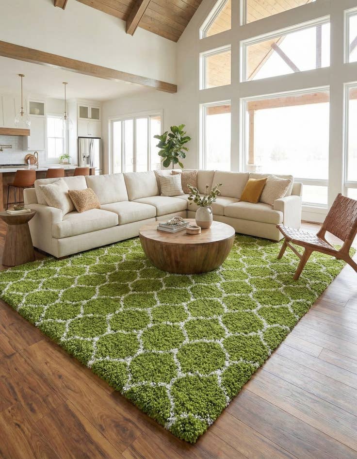 Detail image of 10' 8 x 14' Trellis Shag Rug