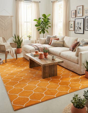 10' x 14' Lattice Frieze Rug