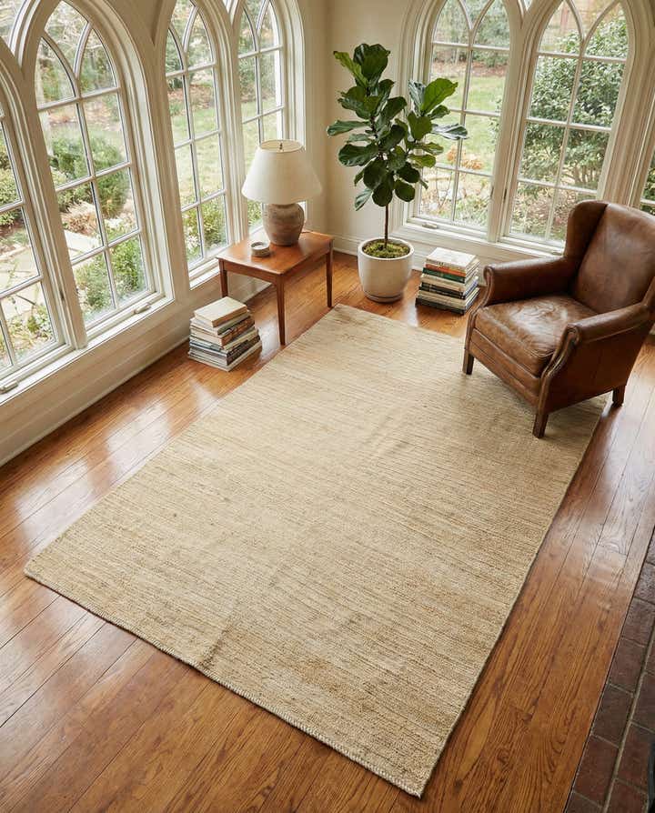 4' x 6' 3 Hand Knotted Darya Wool Rug
