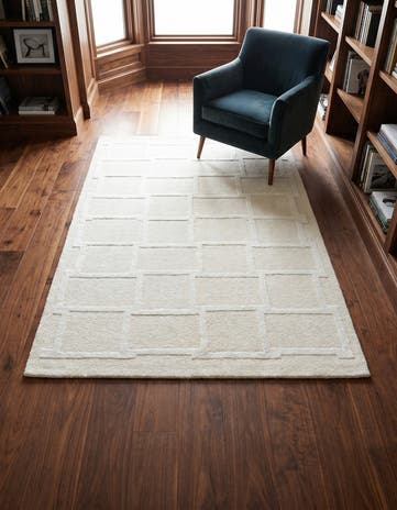 3' 11 x 5' 10 Darya Rug